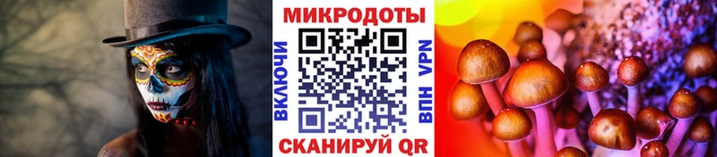 Галлюциногенные грибы мухоморы сколько стоит Саки