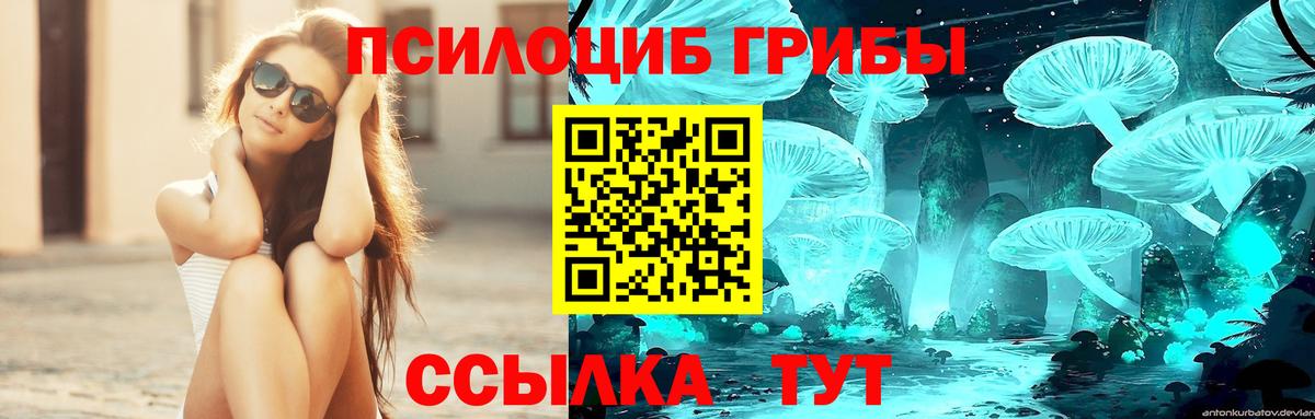 Галлюциногенные грибы Magic Shrooms  Галлюциногенные грибы Cubensis  Вход с VPN  Саки 
